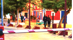 Vista en miniatura