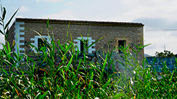 Vista en miniatura