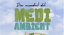Vista en miniatura