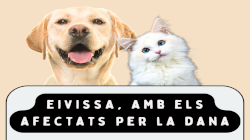 Vista en miniatura