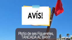 Vista en miniatura