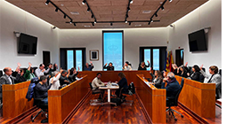 Vista en miniatura