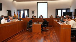 Vista en miniatura