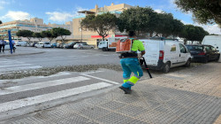 Vista en miniatura