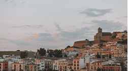 Vista en miniatura