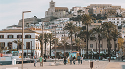 Vista en miniatura