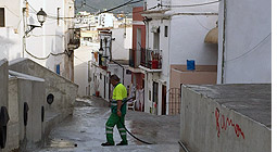 Vista en miniatura