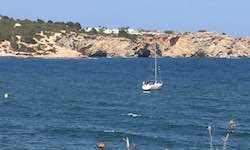 Vista en miniatura