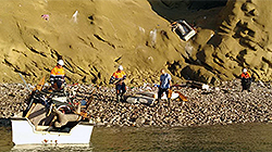 Vista en miniatura