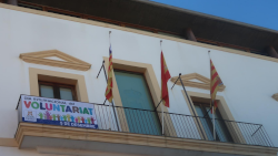 Vista en miniatura