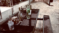Vista en miniatura
