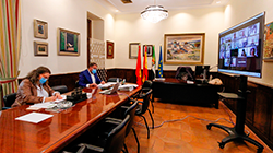 Vista en miniatura