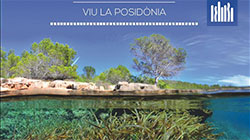 Vista en miniatura