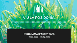 Vista en miniatura