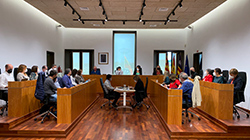 Vista en miniatura