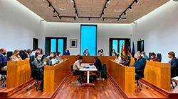 Vista en miniatura