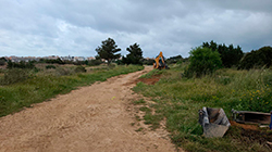 Vista en miniatura