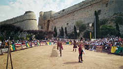 Vista en miniatura