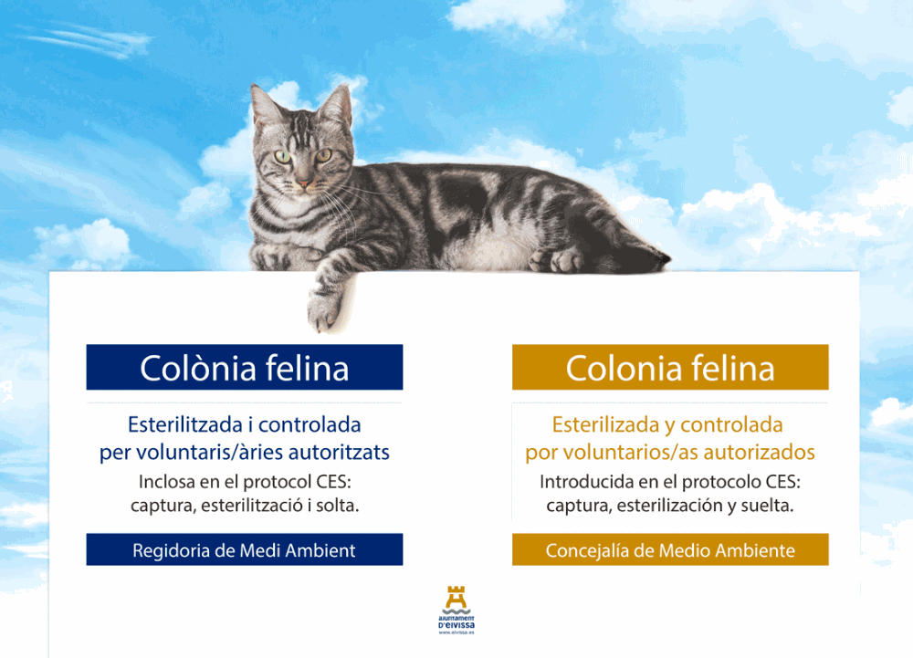 Imagen Control de colònies felines