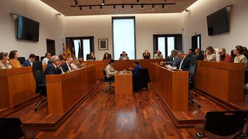 Pleno Eivissa 19 marzo 1